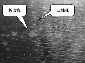 wb官网(中国)wb官网
