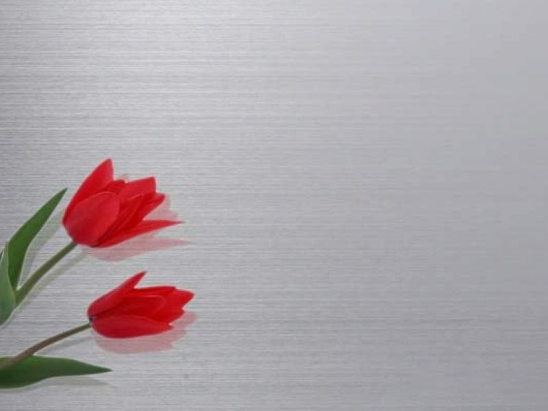 wb官网板材201#和304#有什么区别？